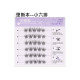 【預購】美熙熙假睫毛無梗免膠