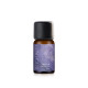 【COM'HOUSE 來家】微薰之夜 Tipsy Lavender｜複方純精油10ml