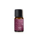【COM'HOUSE 來家】酒神盛宴 Dionysia｜複方純精油10ml