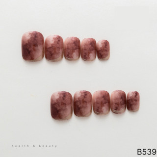 B539（24片全尺寸）