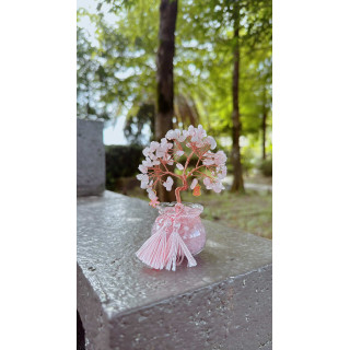 “聖誕節特別計劃” 水晶樹療癒牌卡