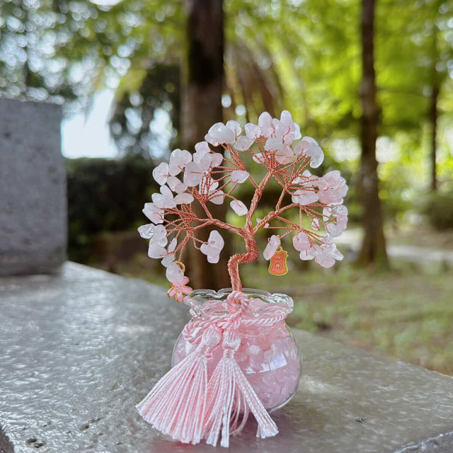 “聖誕節特別計劃” 水晶樹療癒牌卡