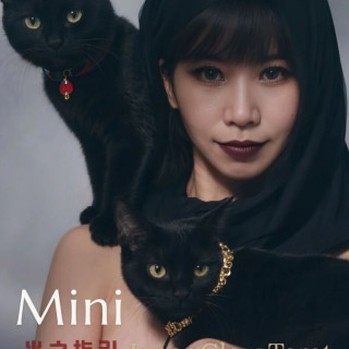 【光之指引】塔羅療癒占卜（文字解說）