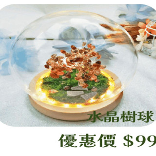 【大員囝仔】西門店- DIY教學卷 水晶樹球