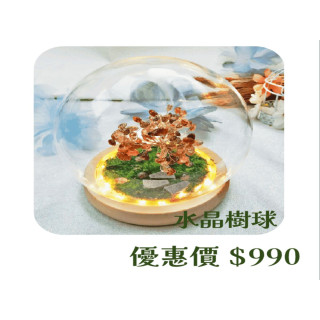 【大員囝仔】西門店- DIY教學卷 水晶樹球