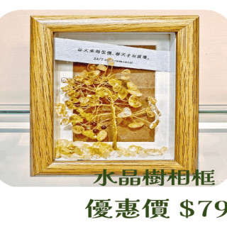 【大員囝仔】西門店- DIY教學卷 水晶樹相框