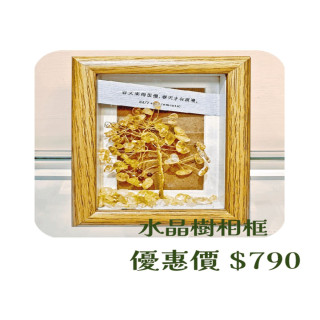 【大員囝仔】西門店- DIY教學卷 水晶樹相框