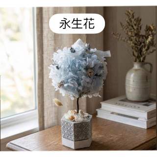 【覓榓】繡球花束