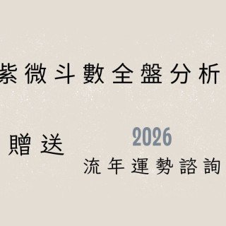 【林口王姐】紫微斗數全盤分析（送2026流年）
