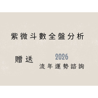 【林口王姐】紫微斗數全盤分析（送2026流年）