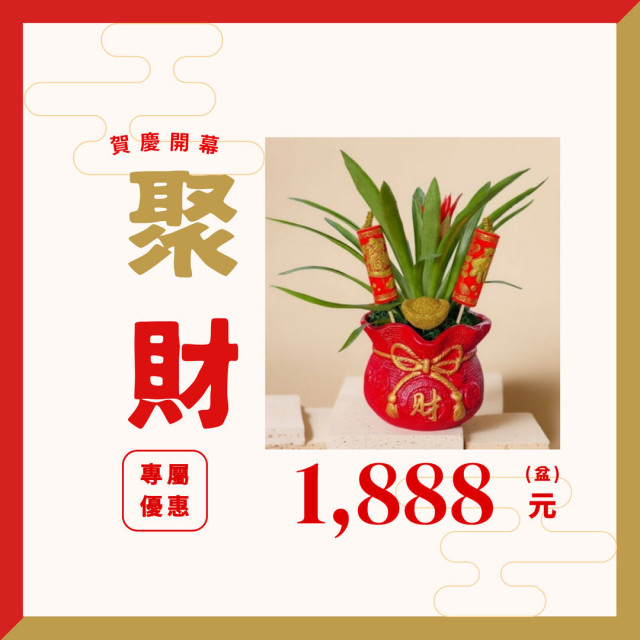 【後昌花苑】開幕慶賀盆景