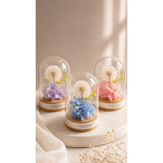 【新北-樓上的花店】永生花'' 蒲光花語