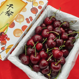 【水果禮盒】頂級美國空運櫻桃910克/盒《限宅配》