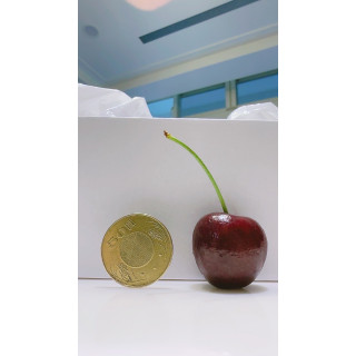 頂級華盛頓紅寶石櫻桃30-32mm_2磅 (910g)