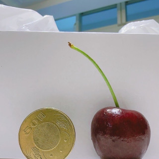 頂級華盛頓紅寶石櫻桃30-32mm_2磅 (910g)