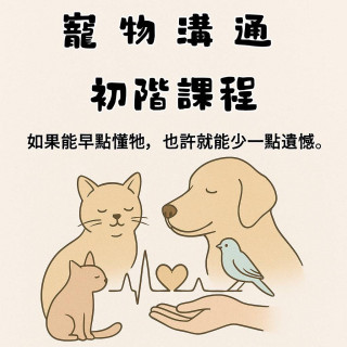 寵物溝通初階課程｜從零開始了解毛孩內心世界