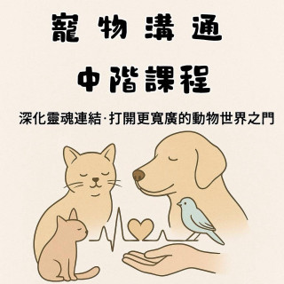 寵物溝通中階課程｜從零開始了解毛孩內心世界